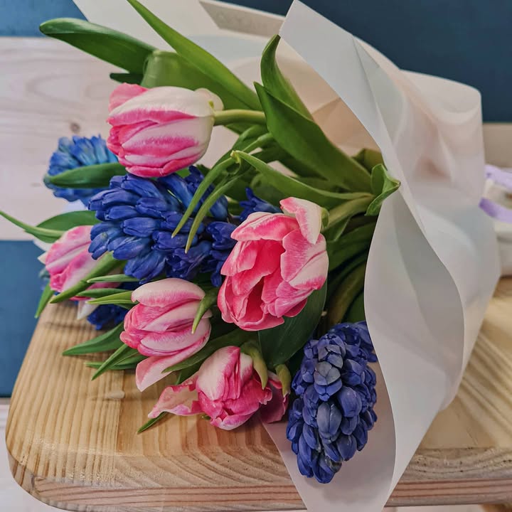 Spring bouquet of pink tulips and blue hyacinths