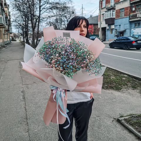Gypsophila Bouquet «Magical Color»