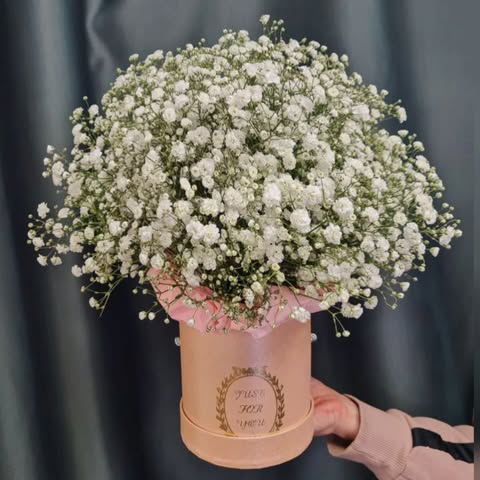 Box with Gypsophila Bouquet «Airy Cloud»