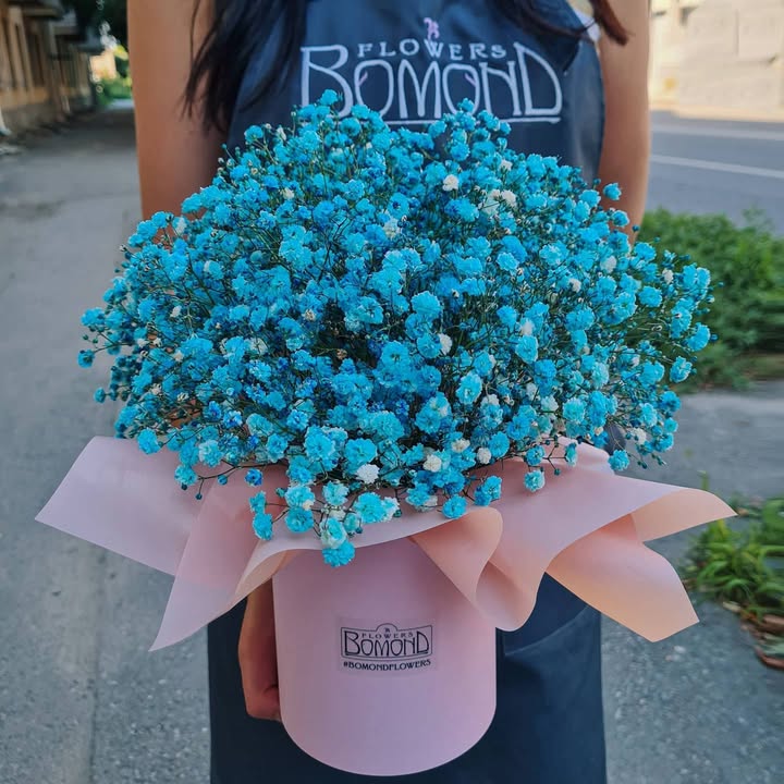 Blue Gypsophila Bouquet in a Box