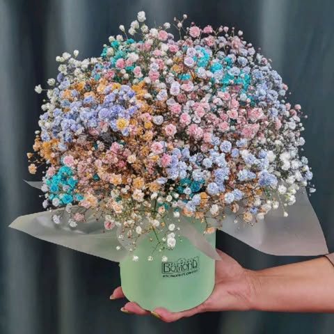 Bouquet of Multicolored Gypsophila in a Stylish Box