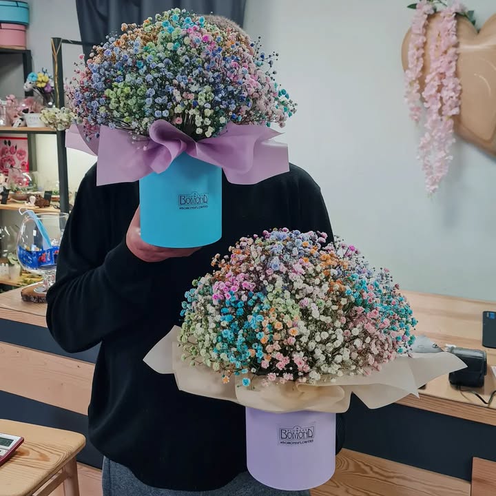 Rainbow Gypsophila Bouquet in a Box