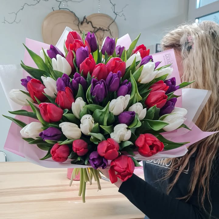 Bouquet of 51 bright red, white, and purple tulips