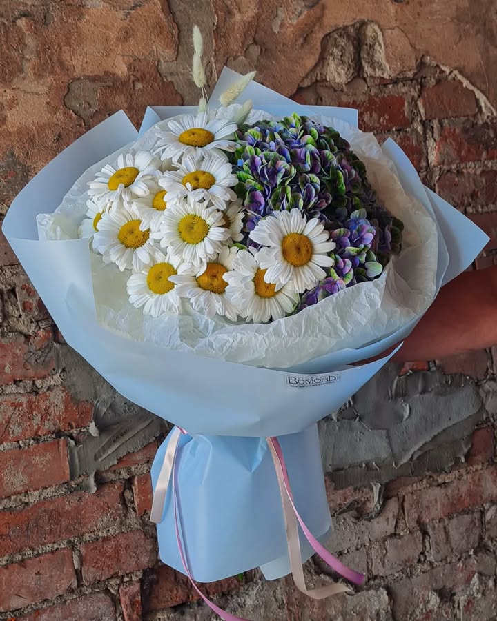 Bouquet of daisies and hydrangea in blue wrapping