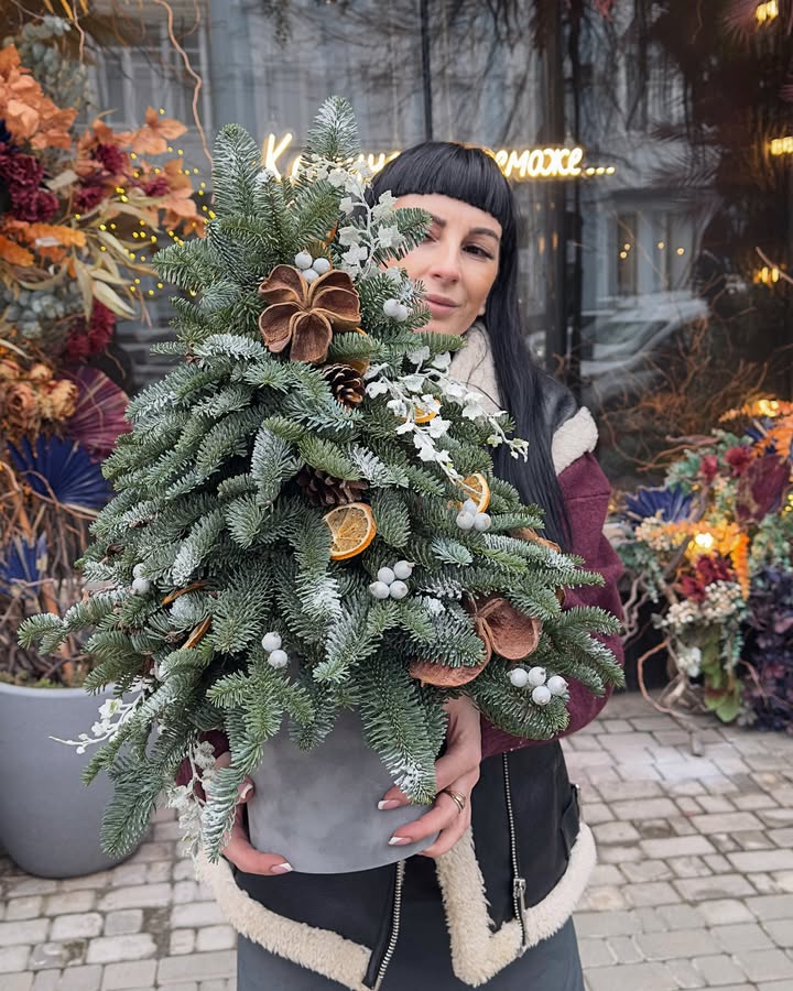 Christmas Tree 55 cm with Natural Decorations in Pot