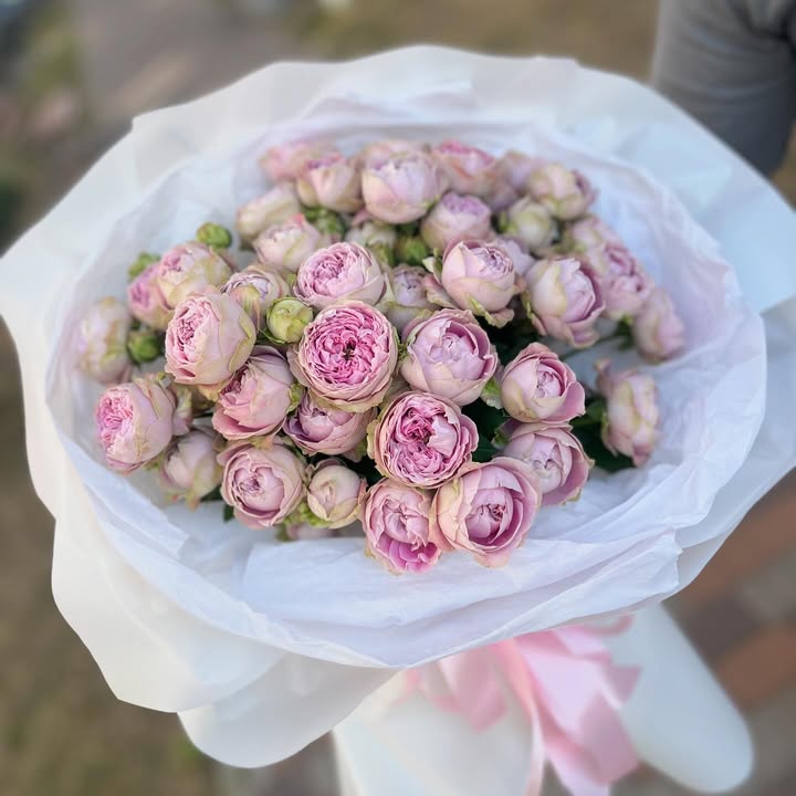 Букет з рожевих півонієподібних троянд Blossom Bubbles, розміри S і M