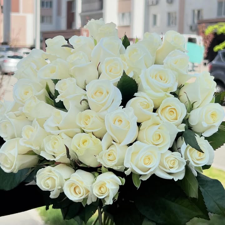 Букет з білих троянд «Білуга» висотою 50 см