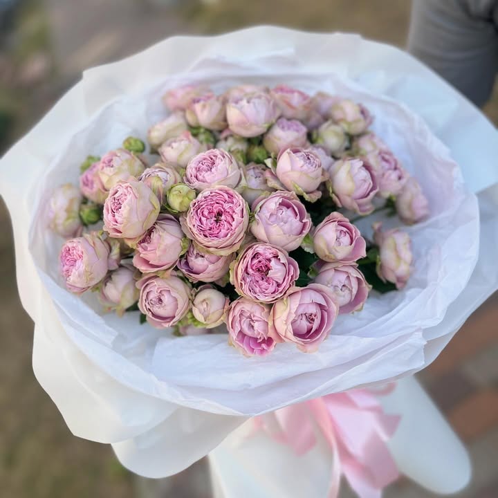 Букет з рожевих кущових півонієподібних троянд Blossom Bubles