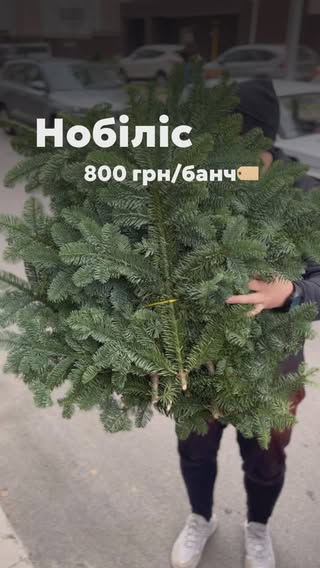 Преміум букет хвої Нобіліс з Данії