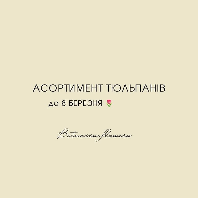 Тюльпани українські великі бутони - звичайні та піоновидні