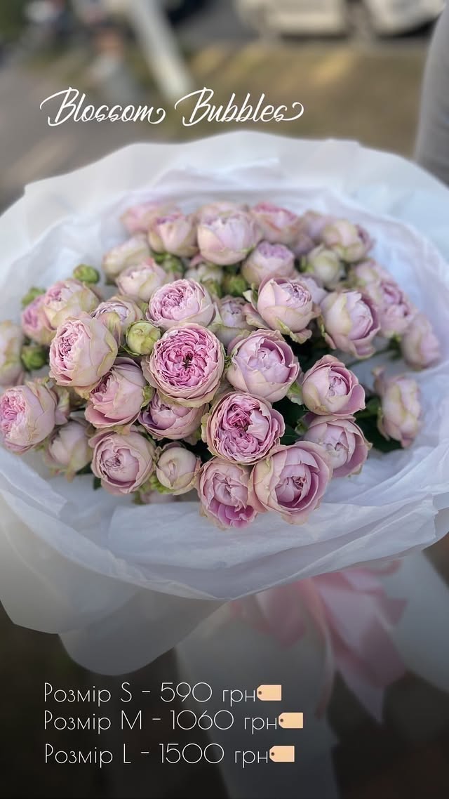 Букет з півонієподібних світло-рожевих троянд Blossom Bubbles
