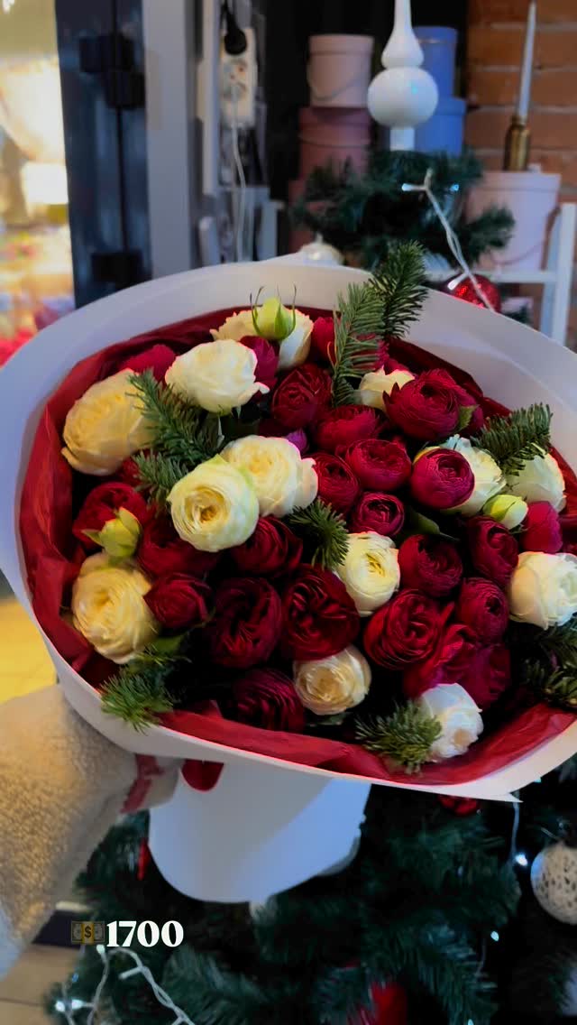 Bouquet of Red and White Roses with Green Pine Branch