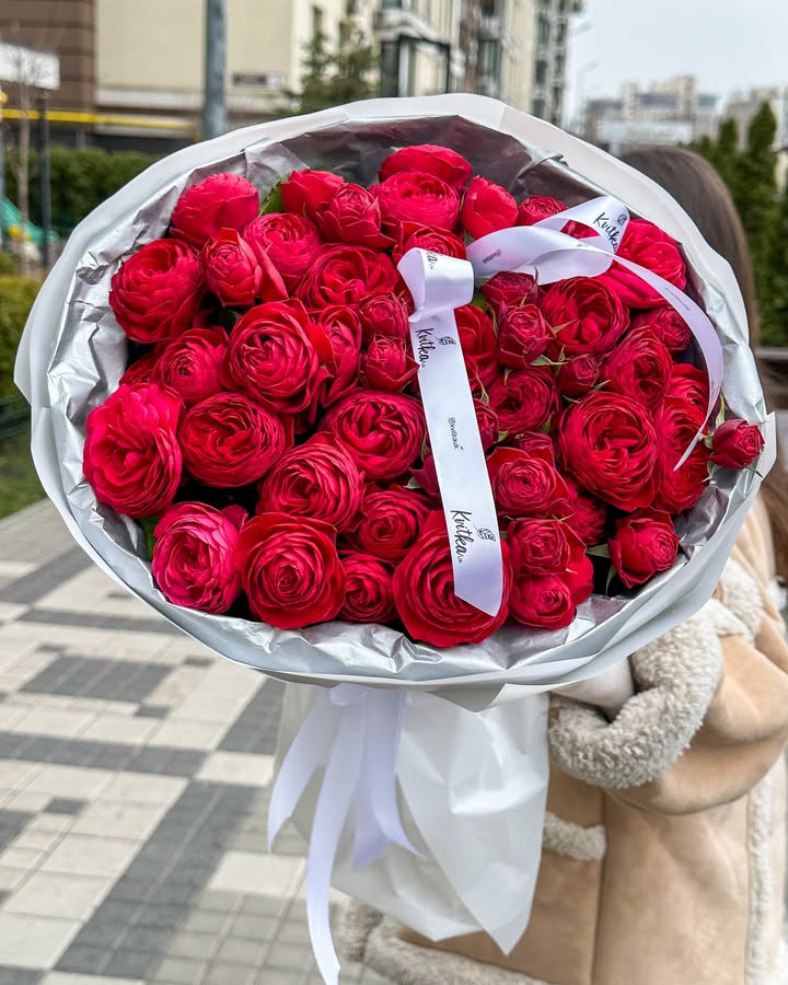Букет піоноподібних троянд "Черрі Трендсеттер" вишневого кольору