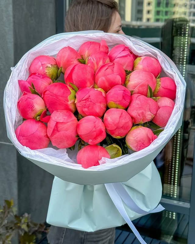 Букет півоній, що змінюють колір, 25 шт