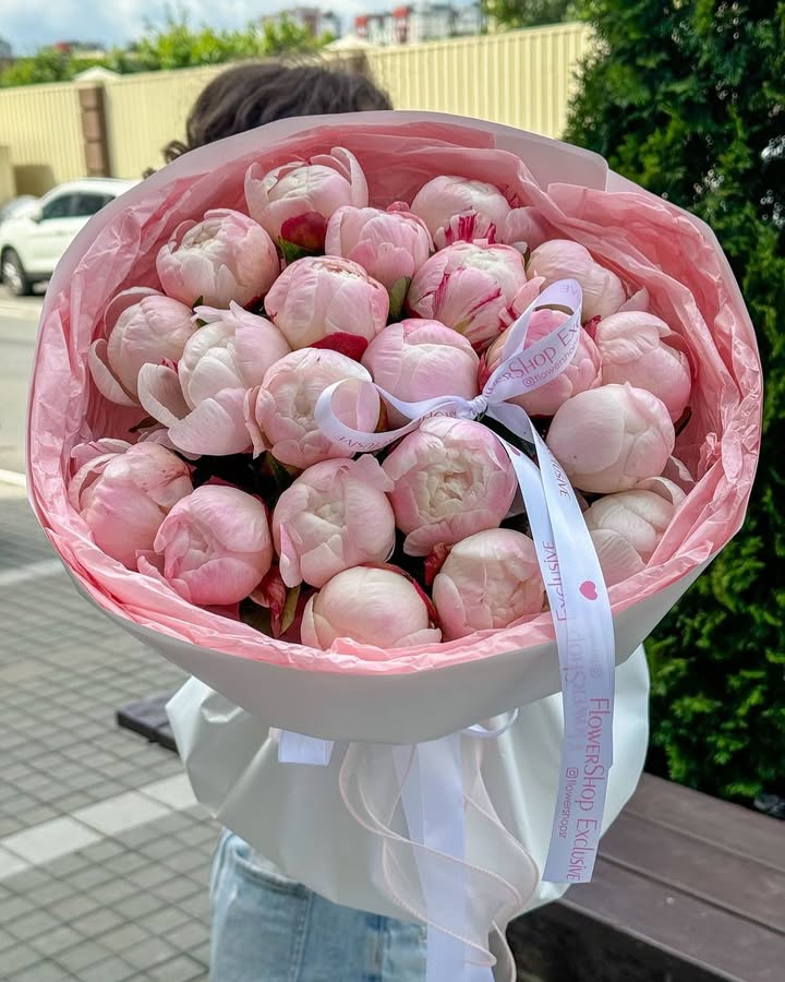Букет півоній Gardenia з ніжними рожевими квітами