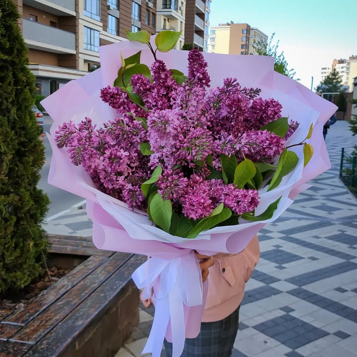 Ароматний букет з бузку