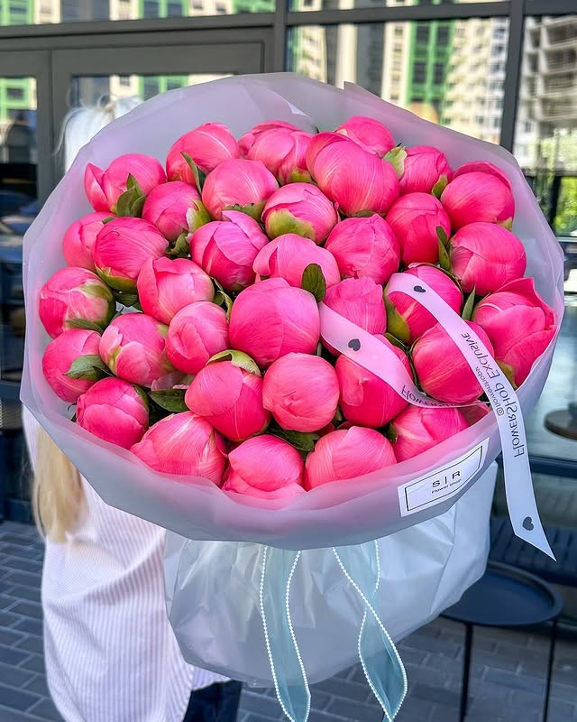 Букет півоній Coral Extra