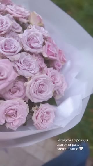 Букет зі світло-рожевих троянд преміум класу