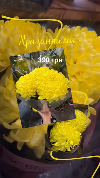 Букет з жовтих хризантем