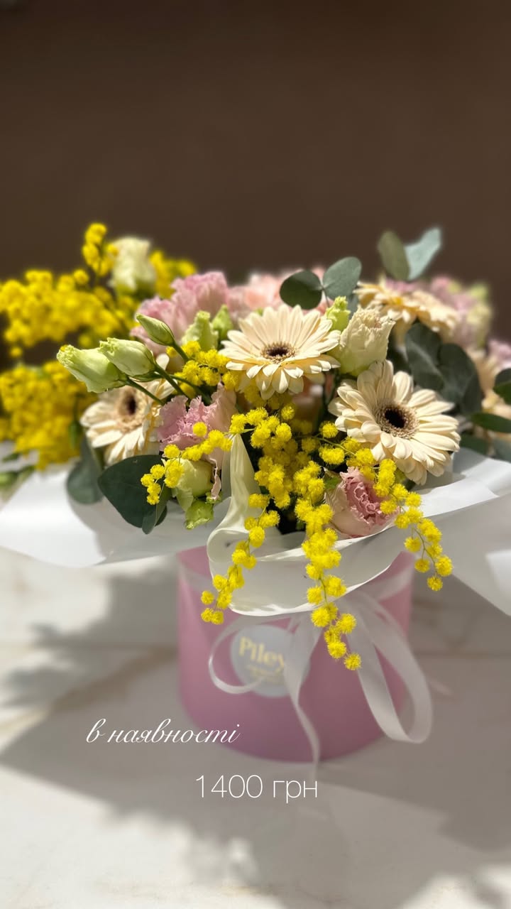 Букет у капелюшній коробці з жовтою мімозою та кремовою герберою