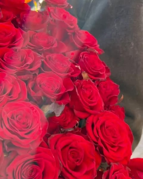 Red Roses Bouquet