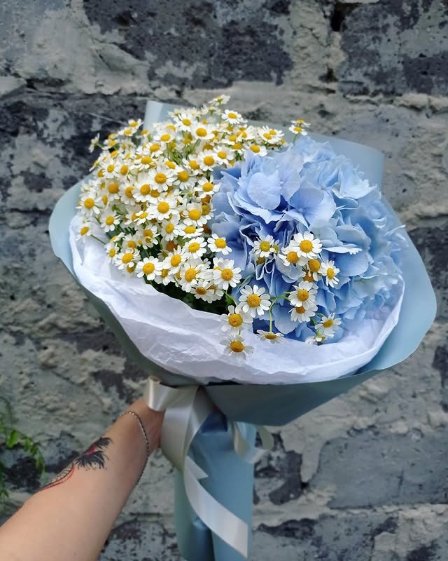 Літній букет з ромашками та блакитною гортензією